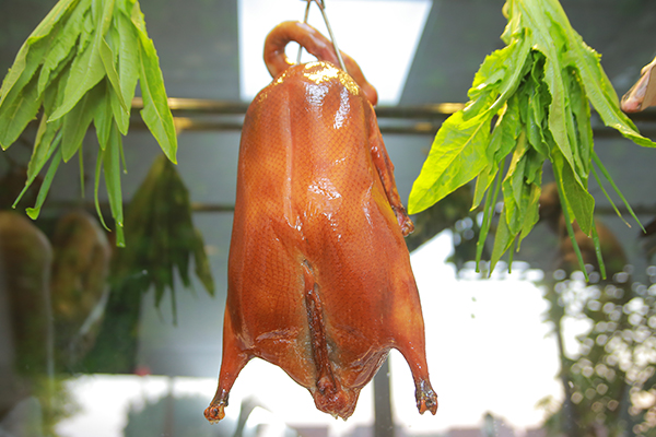 衢州農村大鵝養殖農莊